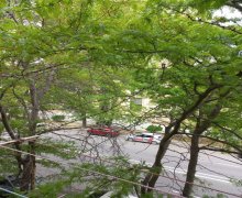 Satılır Köhnə Tikili Elmlər akademiyası m., Yasamal r.