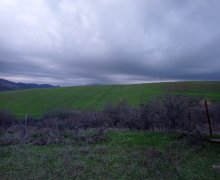 elanlari alqi satqisi elanlari Şamaxı ş.