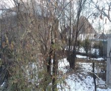 qebelede torpaq alqi satqisi Qəbələ ş.