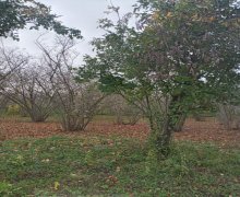 Satılır Bağ evi Xaçmaz ş.