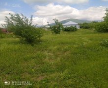 Kirayə (günlük) Həyət evi/villa Qəbələ ş.