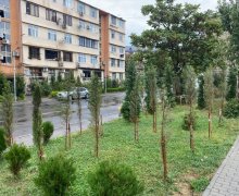 Satılır Köhnə Tikili Qara Qarayev m., Nizami r. Satılır Köhnə Tikili Qara Qarayev m., Nizami r.