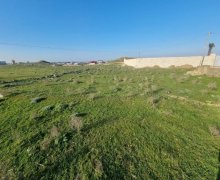 rayonlarda torpaq alqi satqisi Məhəmmədli, Abşeron r.
