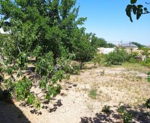 qurd deresi torpaq alqi satqisi Sumqayıt ş.