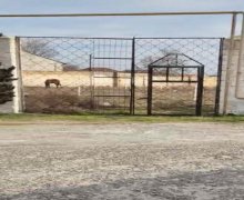 Satılır Torpaq Pirşağı qəs., Sabunçu r.