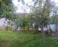 ismayillida torpaq alqi satqisi İsmayıllı ş.