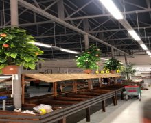 icareye verilen aylıq obyektler Balaxanı qəs., Sabunçu r.