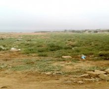 Satılır Torpaq Masazır, Abşeron r.