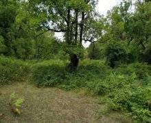 qebelede torpaq alqi satqisi Qəbələ ş.