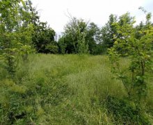 Satılır Torpaq Qəbələ ş.