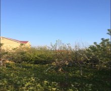 Kirayə (aylıq) Həyət evi/villa Abşeron r.