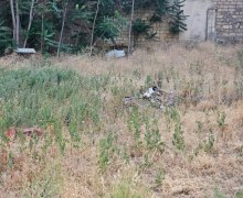 Satılır Torpaq Nəriman Nərimanov m., Montin qəs., Nərimanov r.