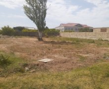 novxanida torpaq satilir Novxanı, Abşeron r.