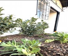 Satılır Həyət evi/villa Zabrat qəs., Sabunçu r.