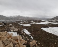 elanlari alqi satqisi elanlari Qobustan ş.