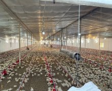 Satılır Obyekt Dədə Qorqud qəs., Suraxanı r.