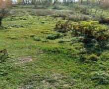 Продажа Участок Губа г.