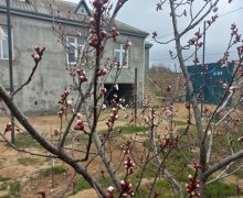 Satılır Bağ evi Qara Qarayev m., Bahar qəs., Suraxanı r.