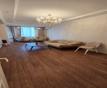 Kirayə (aylıq) Yeni Tikili 8 Noyabr m., Nəsimi r.