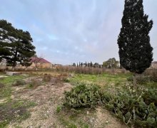 Satılır Torpaq Zirə, Xəzər r.