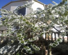 Satılır Həyət evi/villa Hökməli, Abşeron r. Satılır Həyət evi/villa Hökməli, Abşeron r.