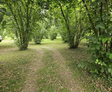 Satılır Torpaq Qəbələ ş.