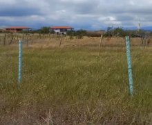 elanlari alqi satqisi elanlari Şamaxı ş.