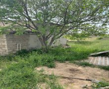 bag evleri proyektleri Qala, Xəzər r.