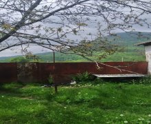 Satılır Torpaq Qəbələ ş.