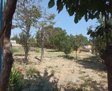 sarayda torpaq satilir Saray, Abşeron r.