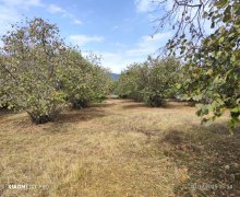 Satılır Torpaq Oğuz ş.