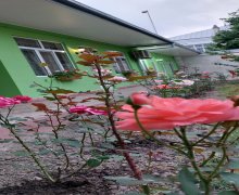 Посуточно Дома/Виллы Губа г.