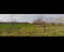 Продажа Участок Губа г.