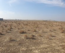 rayonlarda torpaq alqi satqisi Abşeron r.