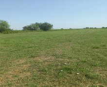 elanlari alqi satqisi elanlari Lənkəran ş.