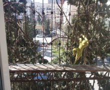 Kirayə (aylıq) Köhnə Tikili Xətai m., Ağ şəhər, Xətai r. Kirayə (aylıq) Köhnə Tikili Xətai m., Ağ şəhər, Xətai r.