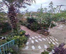 elanlari alqi satqisi elanlari Koroğlu m., Sabunçu qəs., Sabunçu r.