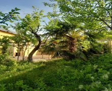 ismayillida günlük istirahet merkezleri/villa İsmayıllı ş.