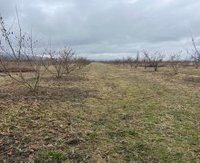 Satılır Torpaq Qusar ş.