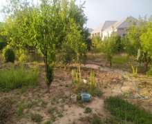 qurd deresi torpaq alqi satqisi Sumqayıt ş.