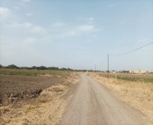 Satılır Torpaq Cəlilabad ş.