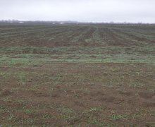 Satılır Torpaq Qusar ş.