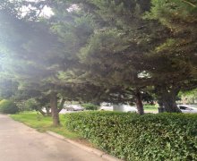 elanlari alqi satqisi elanlari Səbail r.