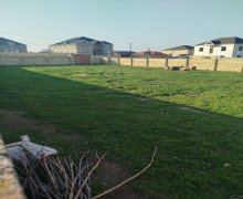 rayonlarda torpaq alqi satqisi Goradil, Abşeron r.