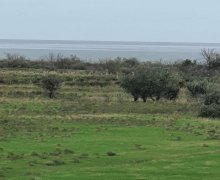 elanlari alqi satqisi elanlari Xızı ş.