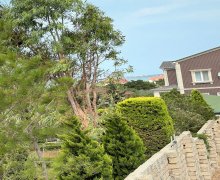 elanlari alqi satqisi elanlari Pirallahı, Pirallahı r.