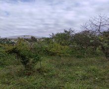 Satılır Torpaq Qusar ş. Satılır Torpaq Qusar ş.