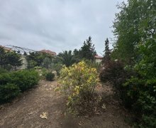 Продажа Участок Мярдякан, Хязяр р. Продажа Участок Мярдякан, Хязяр р.