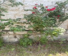 Satılır Həyət evi/villa Mehdiabad, Abşeron r.