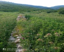 Satılır Torpaq Ağsu ş.